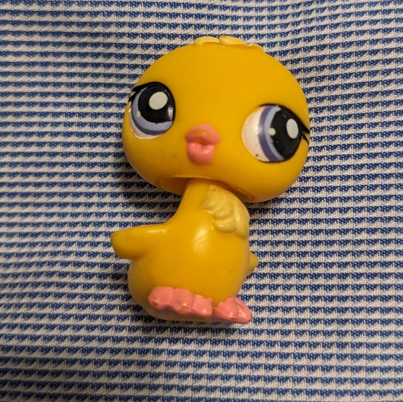 Birds 975, 1995, 2463 RARE, 497, 976 - Picture 9 of 10